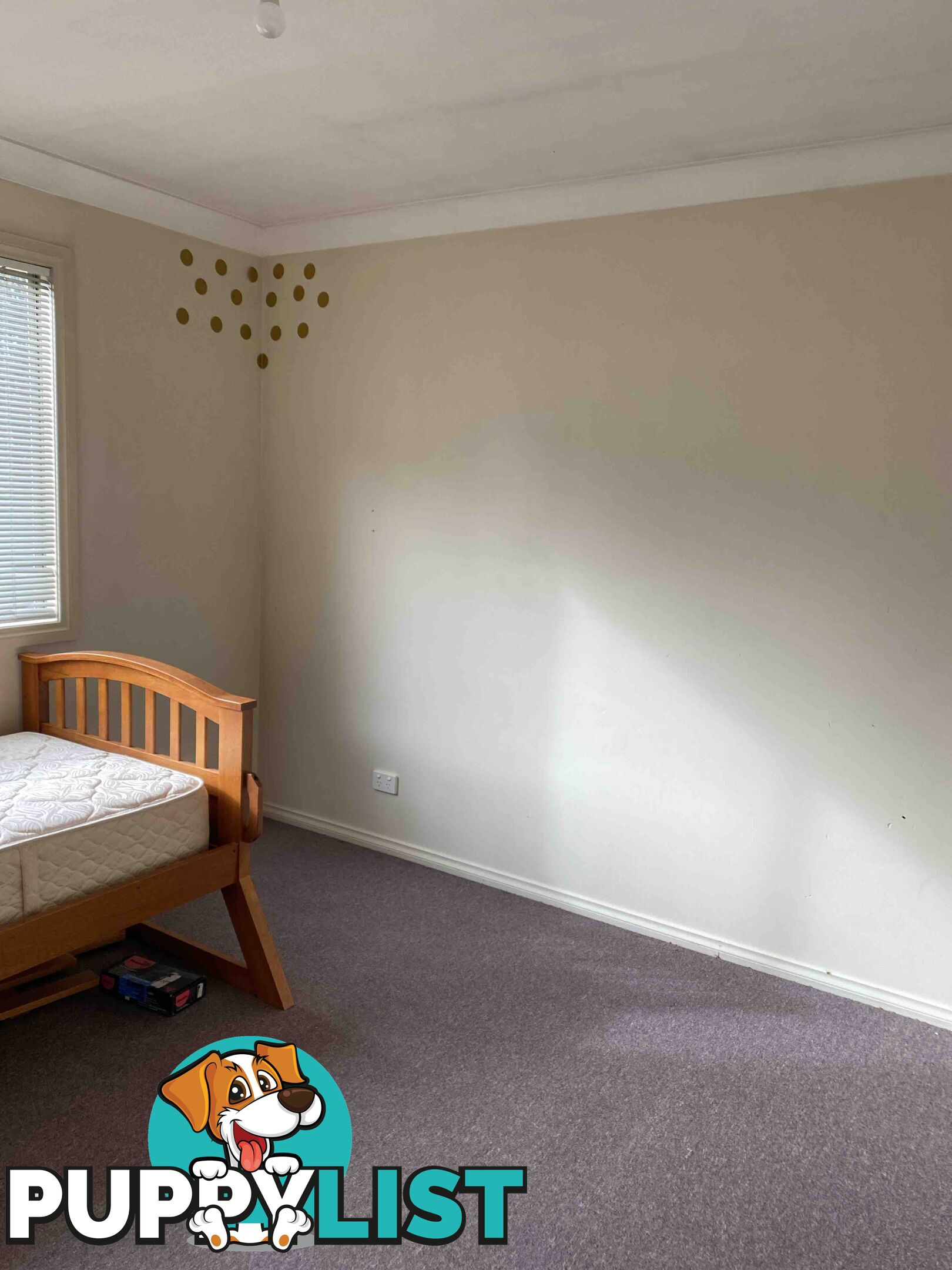 4 Robinson Street ZEEHAN TAS 7469