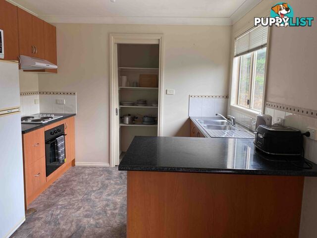 4 Robinson Street ZEEHAN TAS 7469