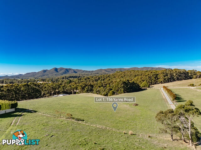 Lot 1 156 Yanns Road ROCKY CAPE TAS 7321