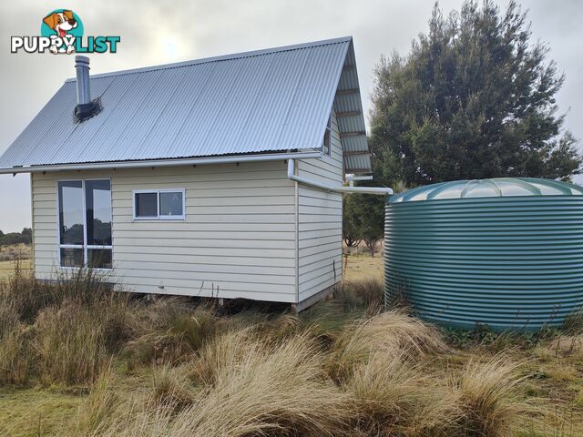 25 Walker Street WARATAH TAS 7321