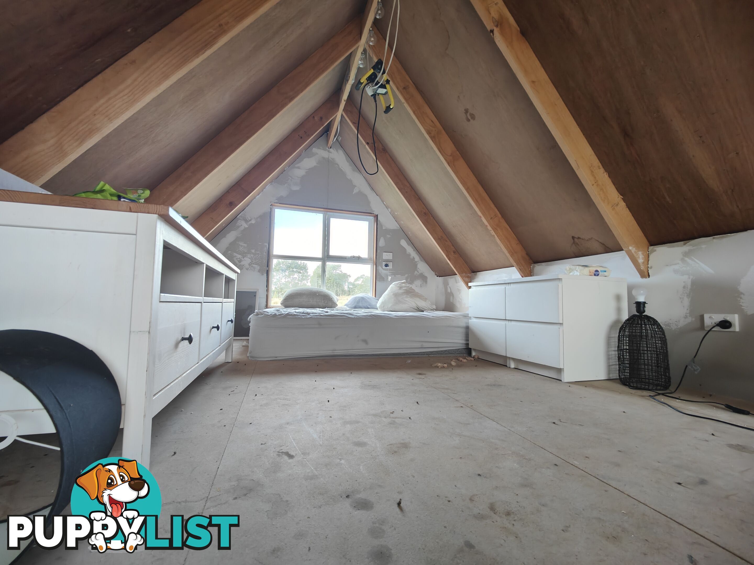 25 Walker Street WARATAH TAS 7321