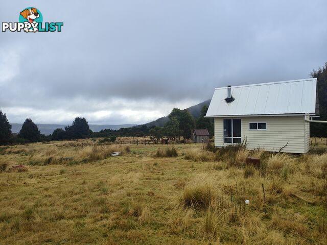 25 Walker Street WYNYARD TAS 7325