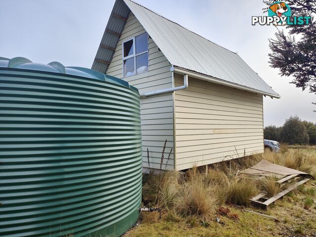 25 Walker Street WARATAH TAS 7321