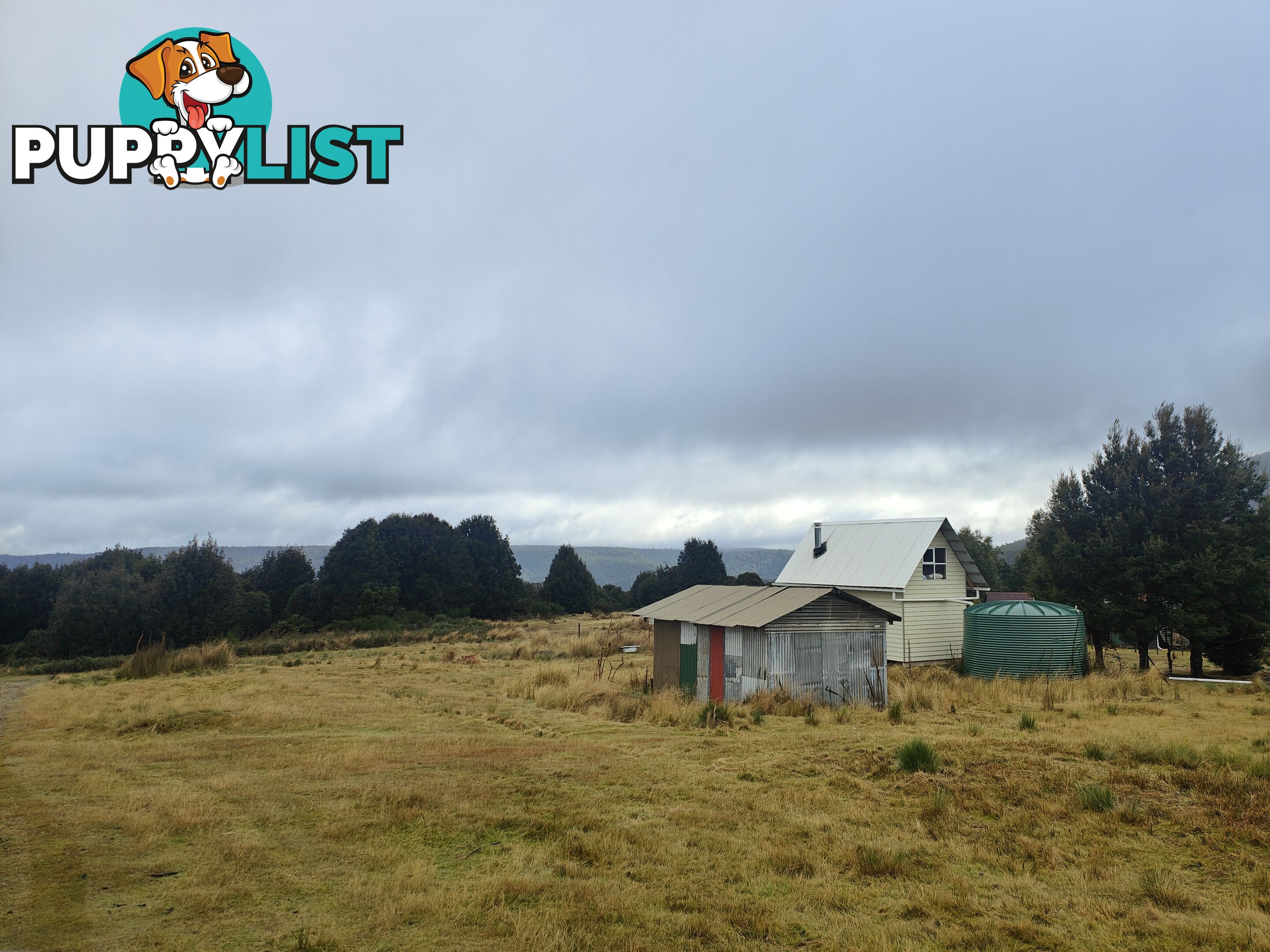 25 Walker Street WYNYARD TAS 7325