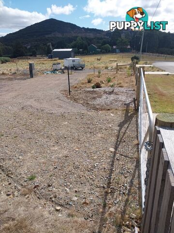 5 Vincent Street WARATAH TAS 7321