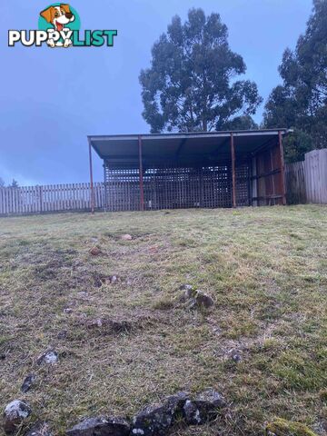 18 Que Street WARATAH TAS 7321