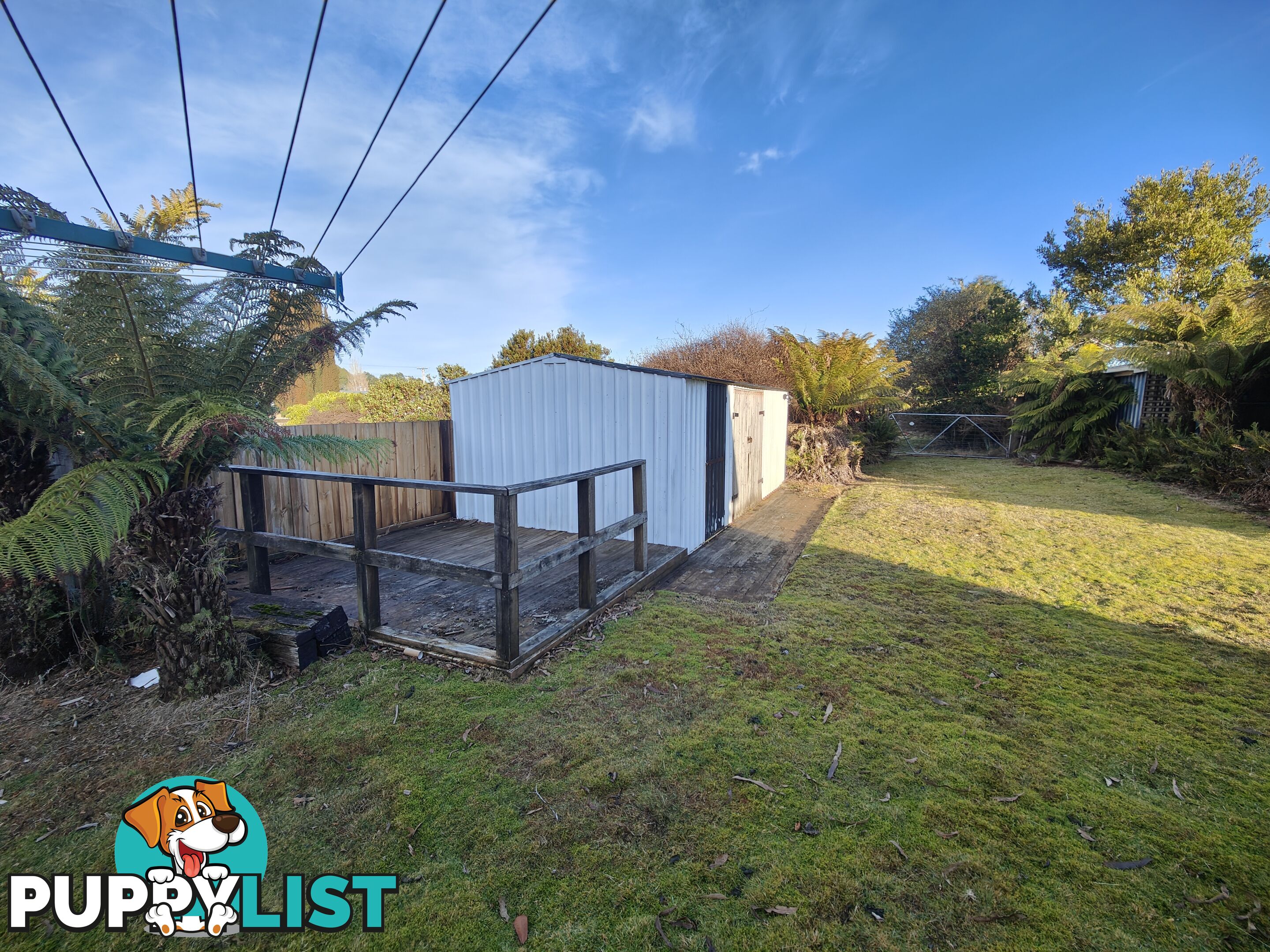6 Little Quiggin Street WARATAH TAS 7321