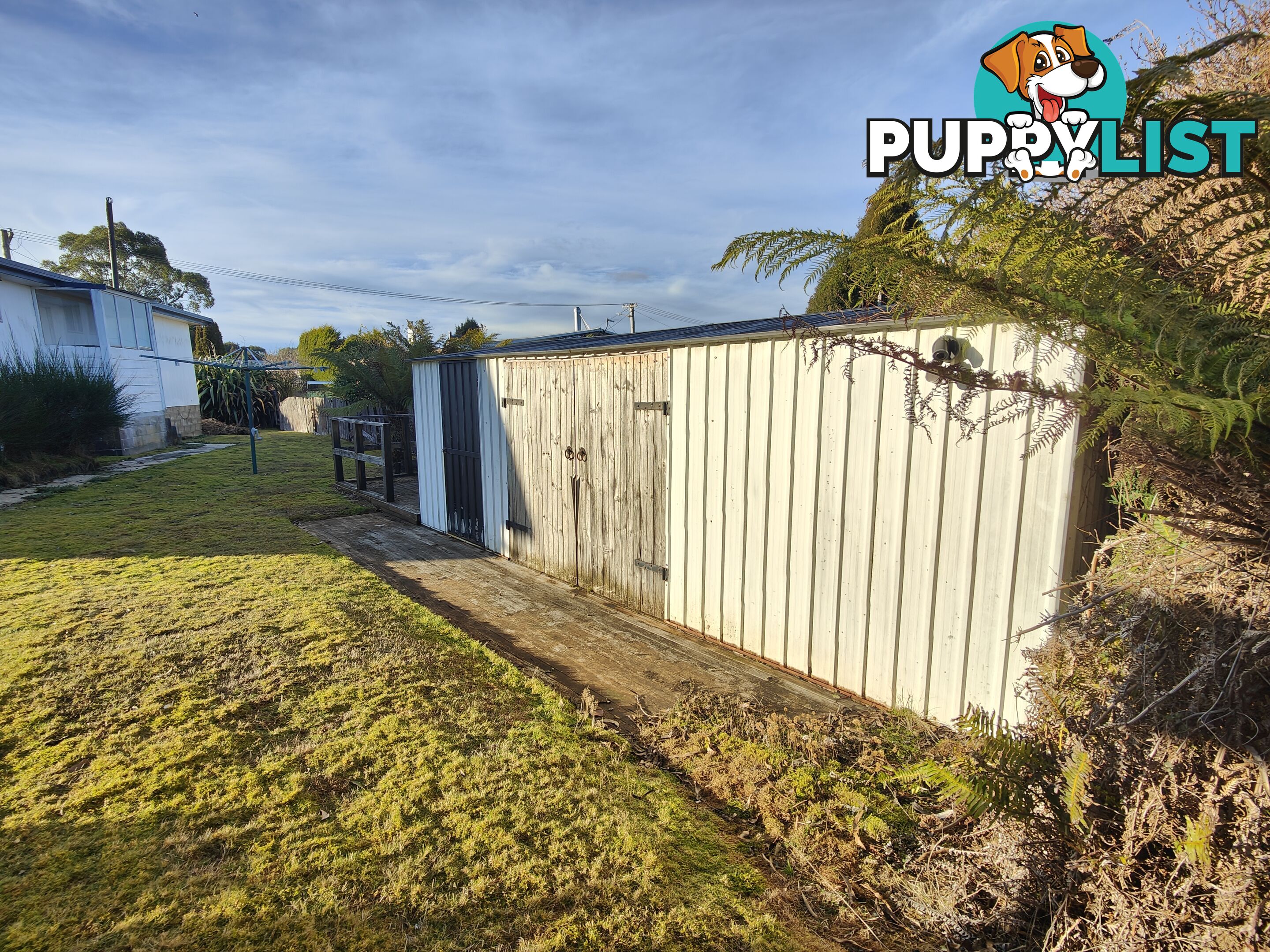 6 Little Quiggin Street WARATAH TAS 7321