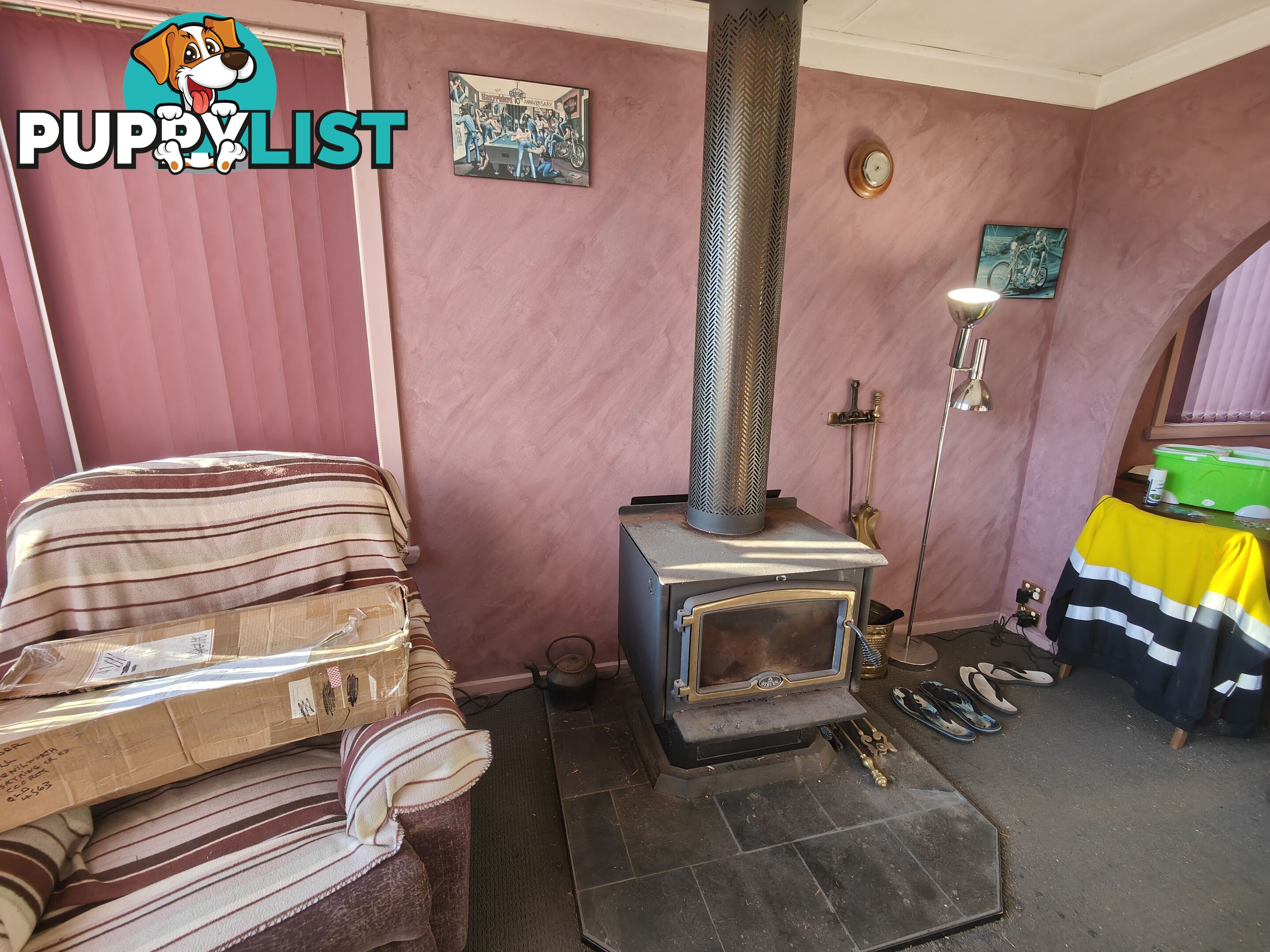 6 Little Quiggin Street WARATAH TAS 7321