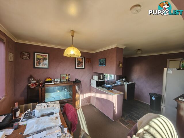 6 Little Quiggin Street WARATAH TAS 7321
