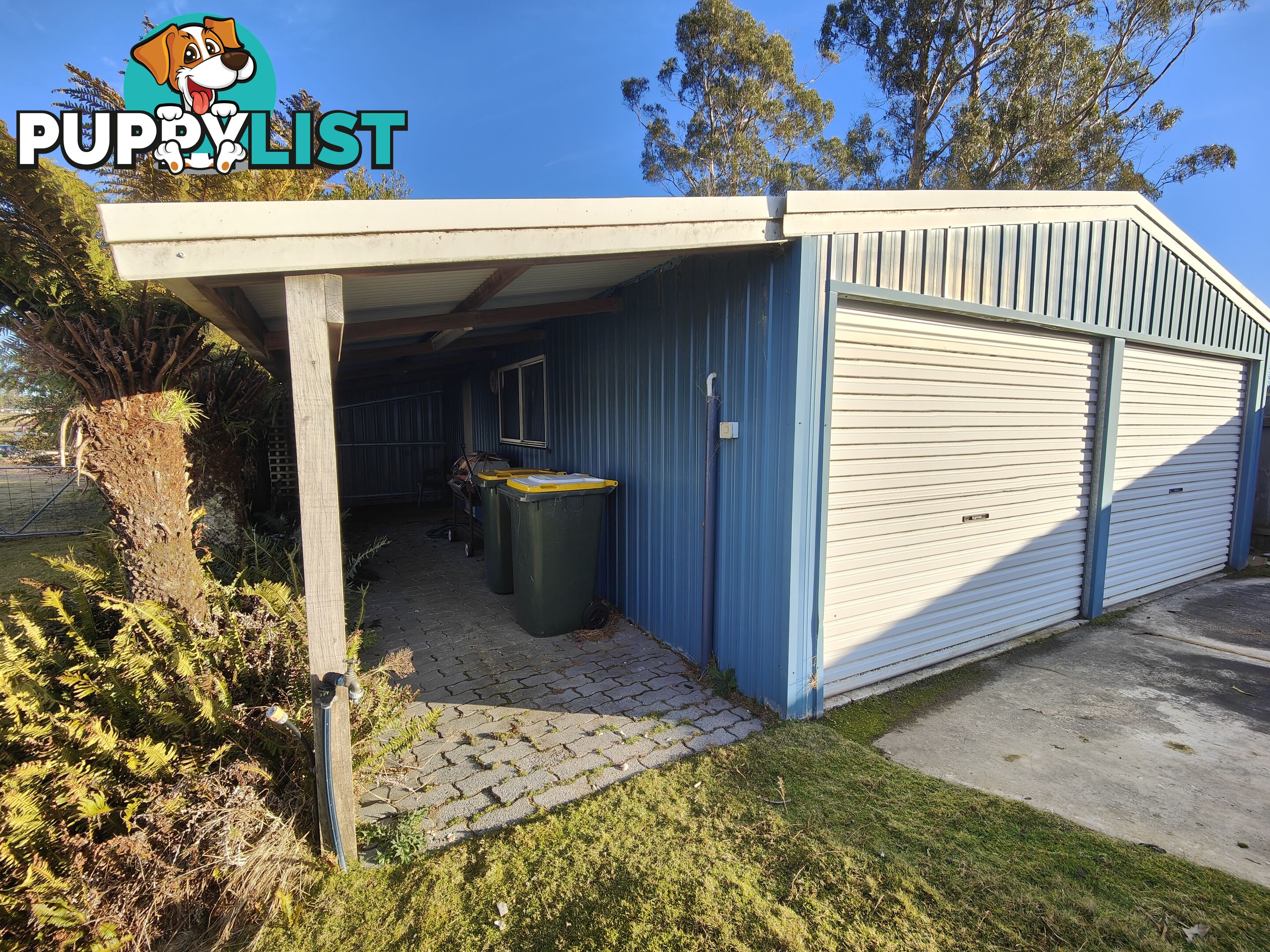 6 Little Quiggin Street WARATAH TAS 7321