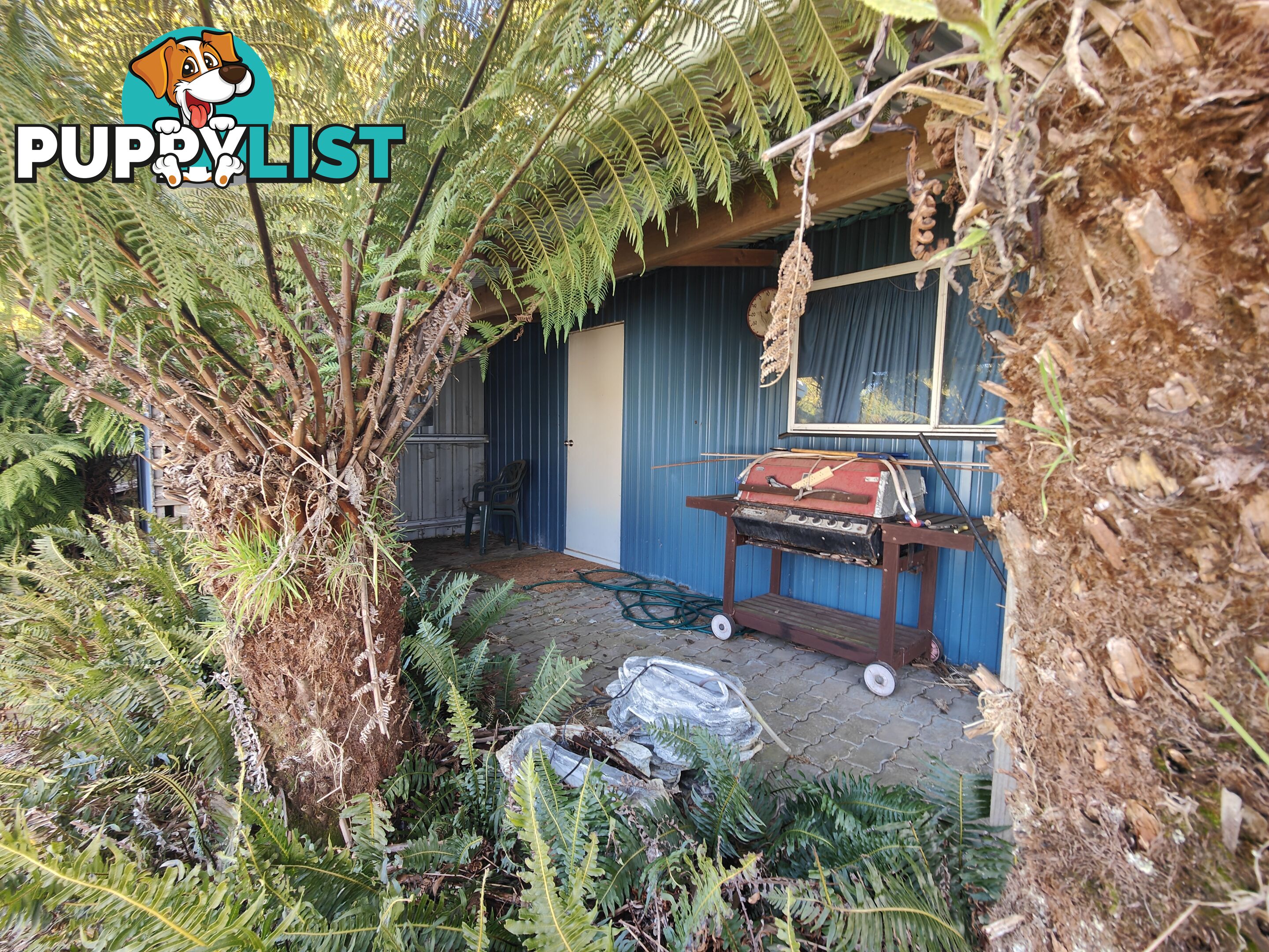 6 Little Quiggin Street WARATAH TAS 7321
