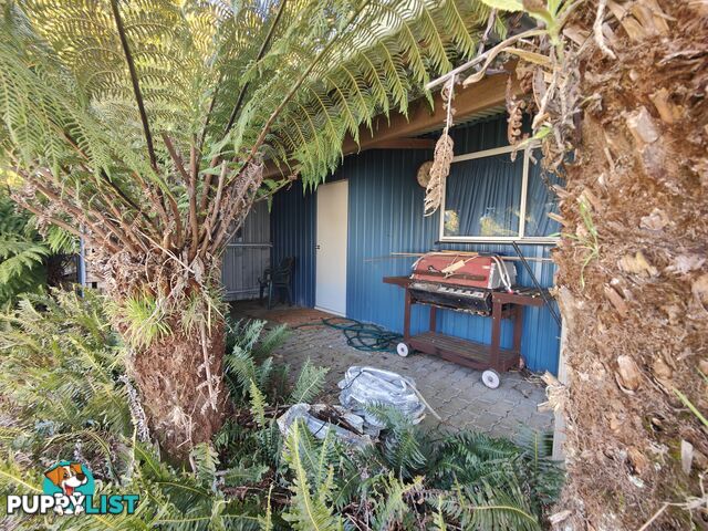 6 Little Quiggin Street WARATAH TAS 7321