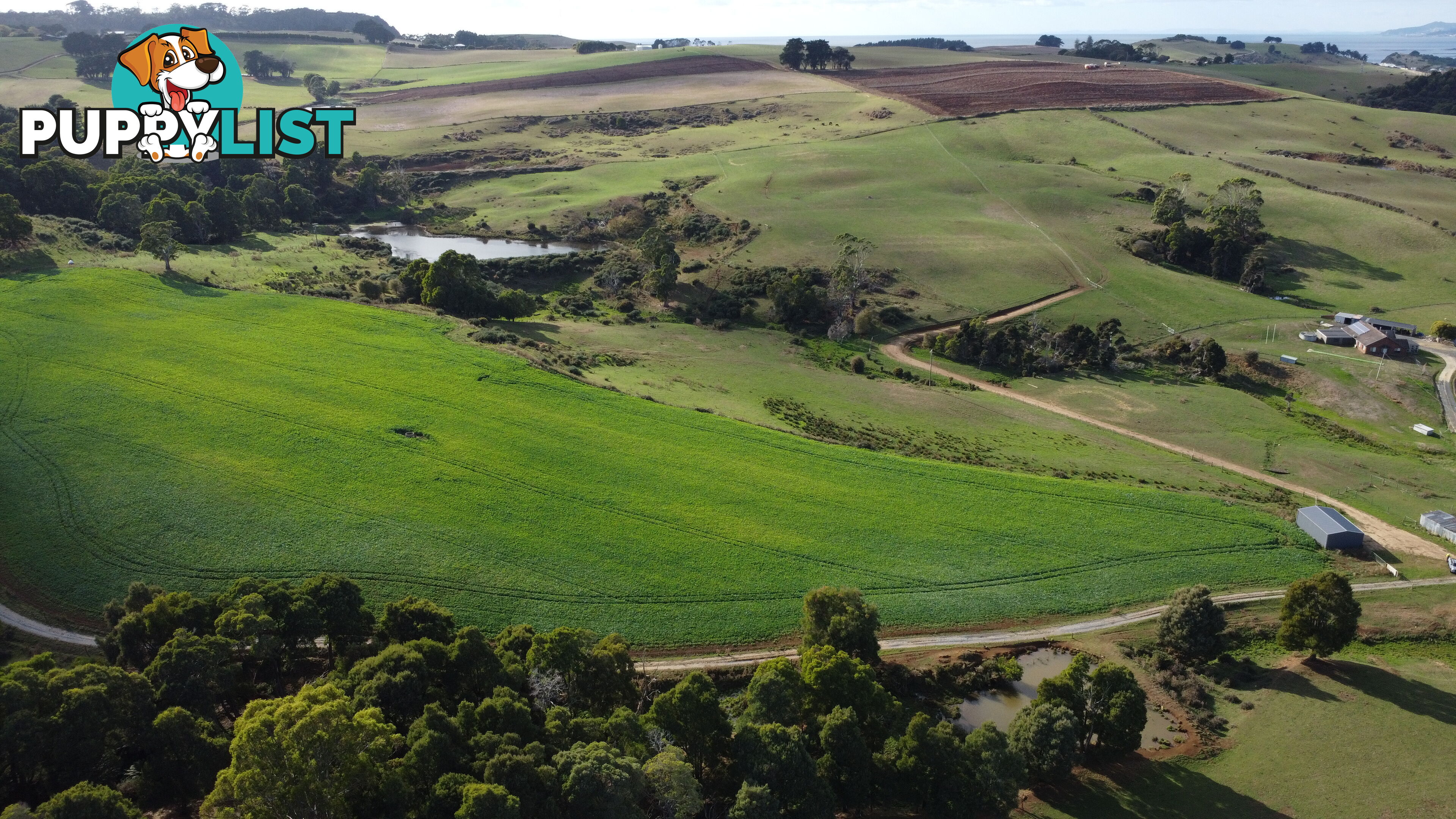 Pecks Road FLOWERDALE TAS 7325