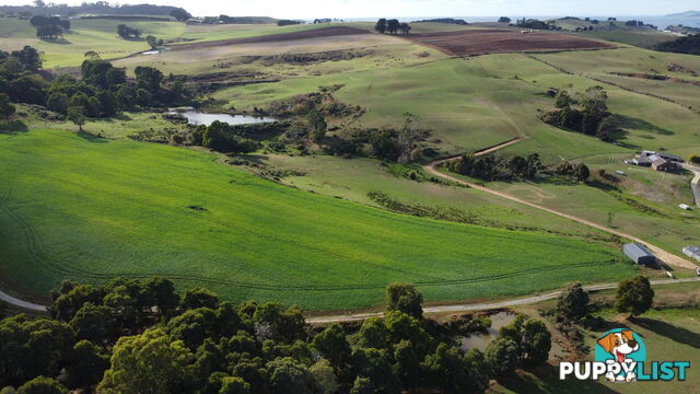 Pecks Road FLOWERDALE TAS 7325