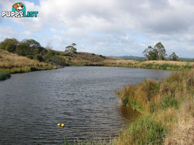 Pecks Road FLOWERDALE TAS 7325