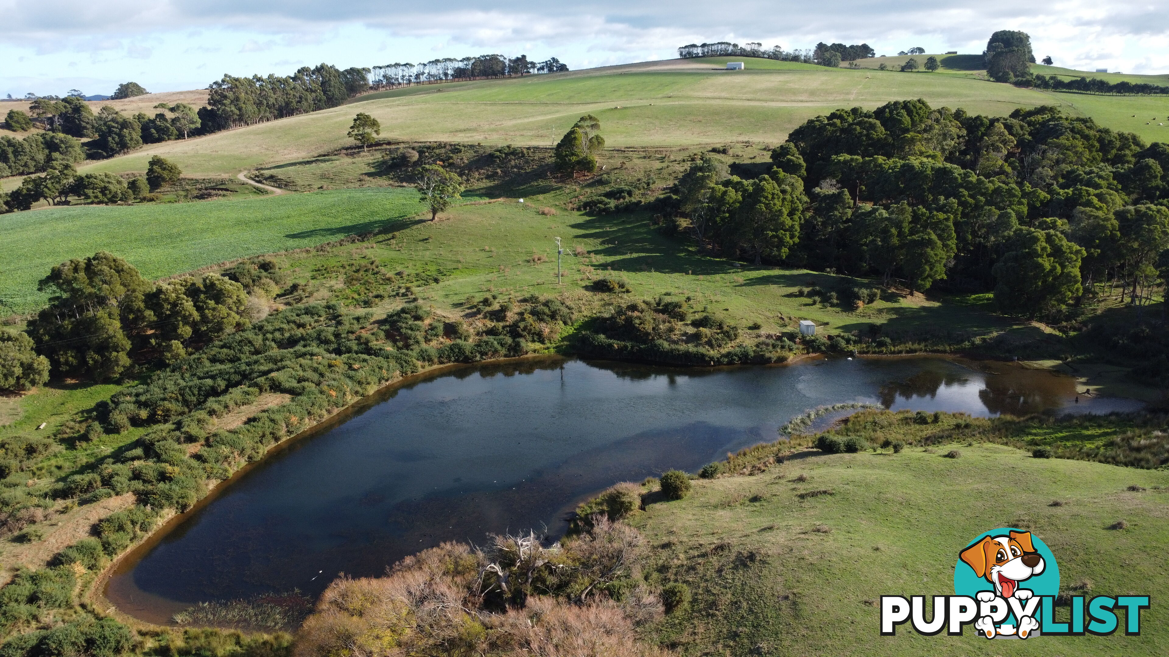 Pecks Road FLOWERDALE TAS 7325