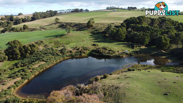 Pecks Road FLOWERDALE TAS 7325