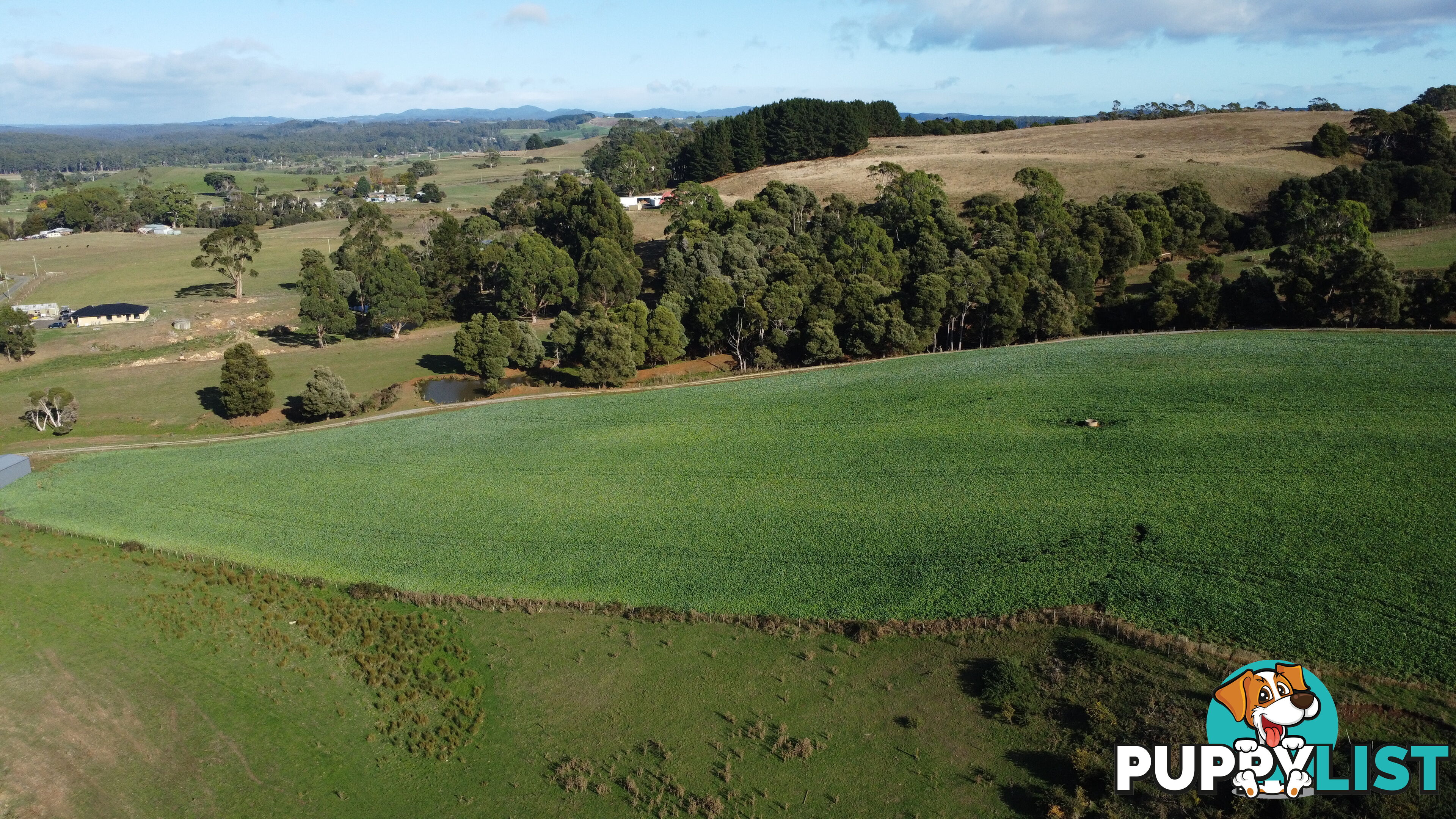 Pecks Road FLOWERDALE TAS 7325