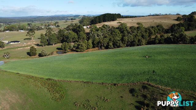 Pecks Road FLOWERDALE TAS 7325