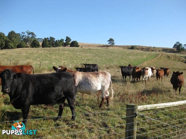 Pecks Road FLOWERDALE TAS 7325