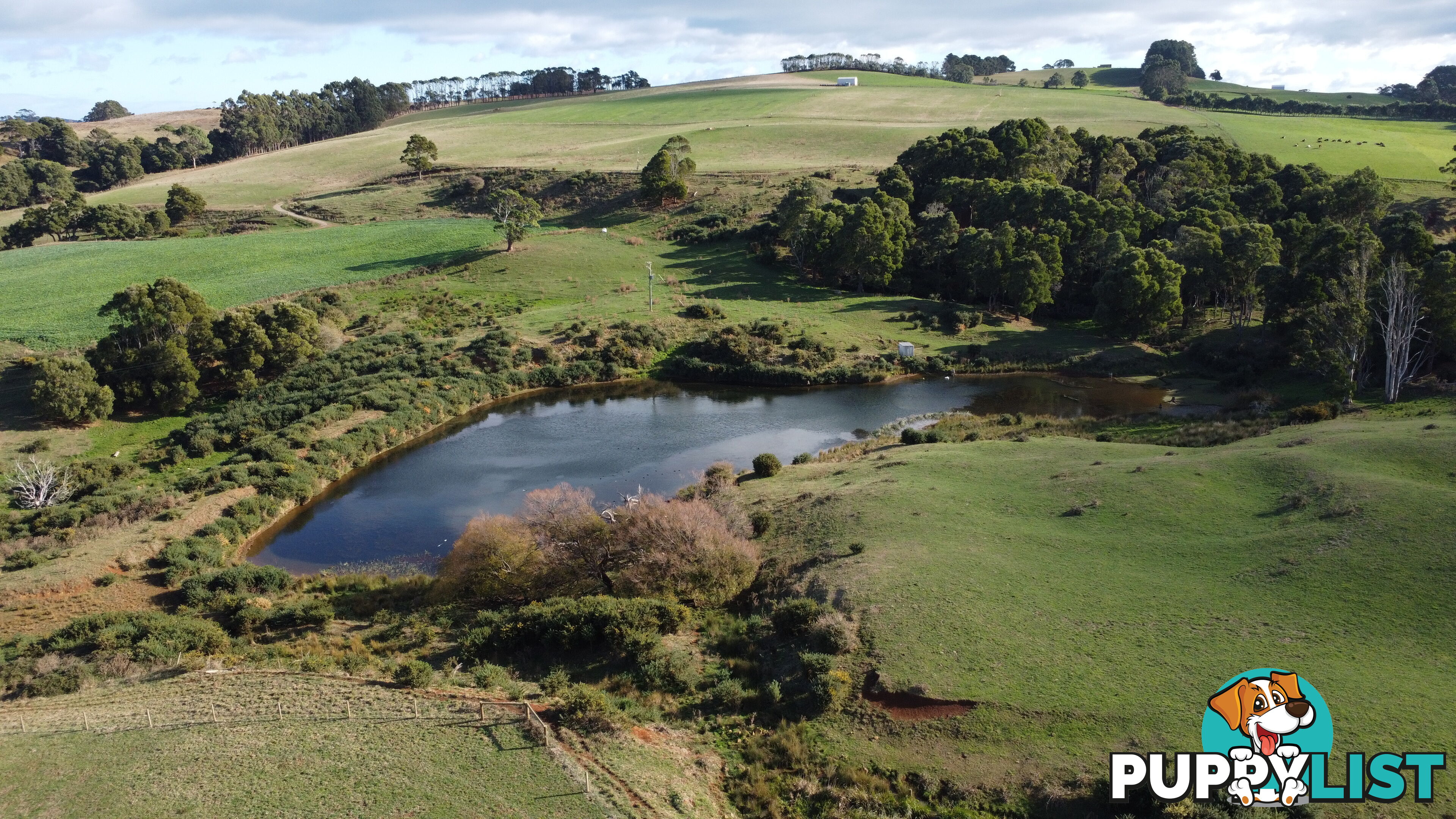 Pecks Road FLOWERDALE TAS 7325