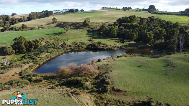 Pecks Road FLOWERDALE TAS 7325