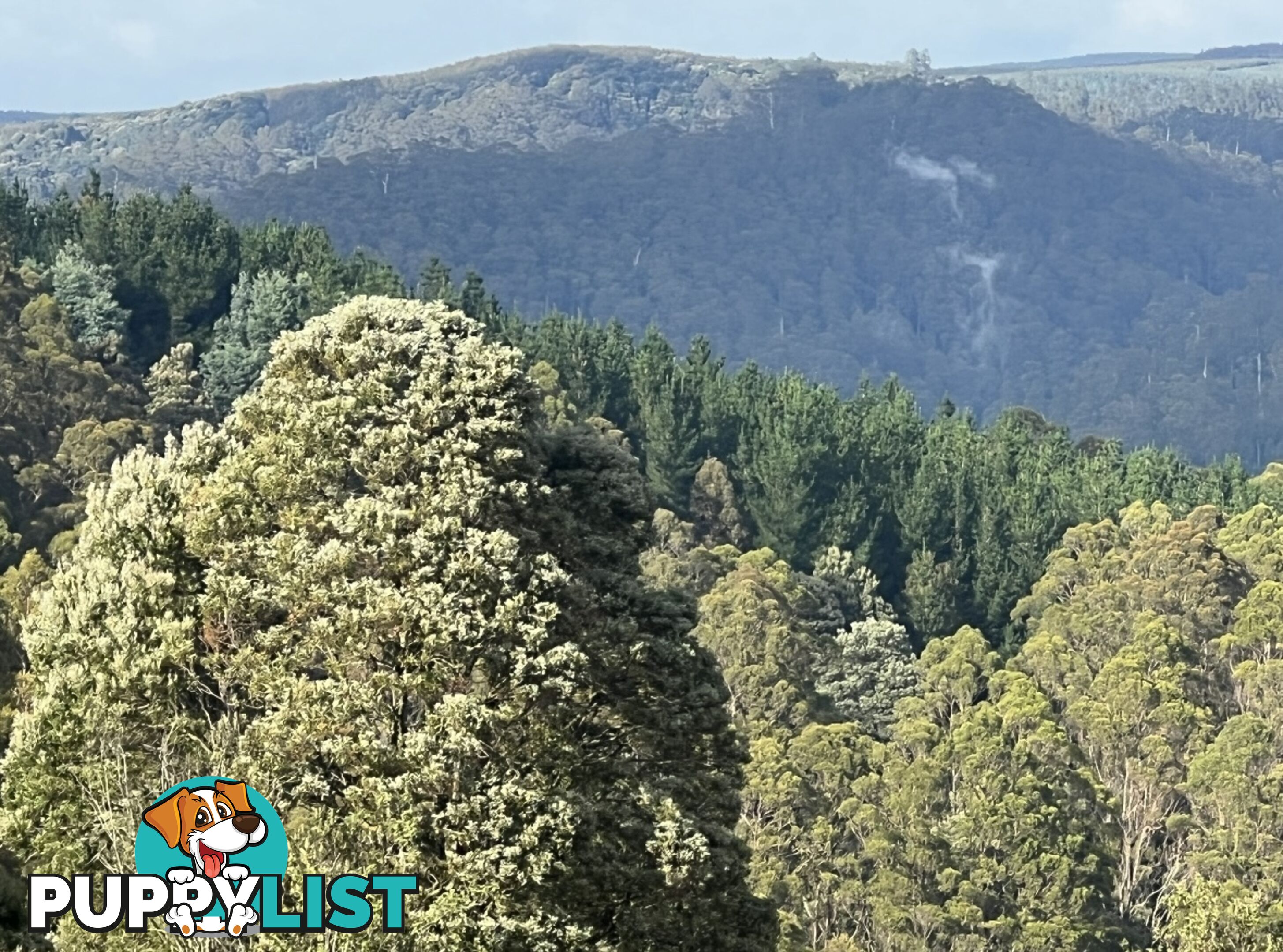 654 West Calder Road CALDER TAS 7325