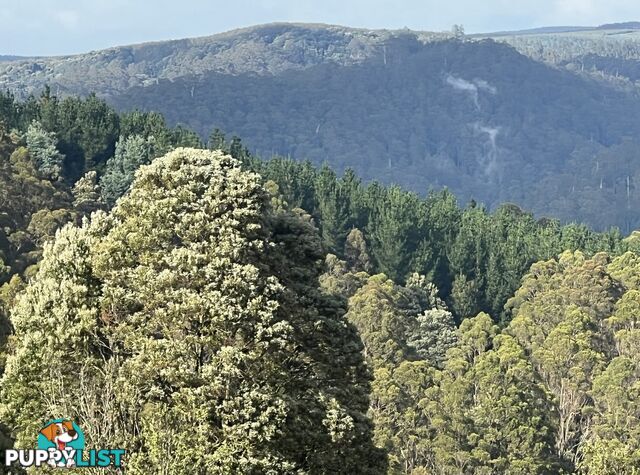 654 West Calder Road CALDER TAS 7325