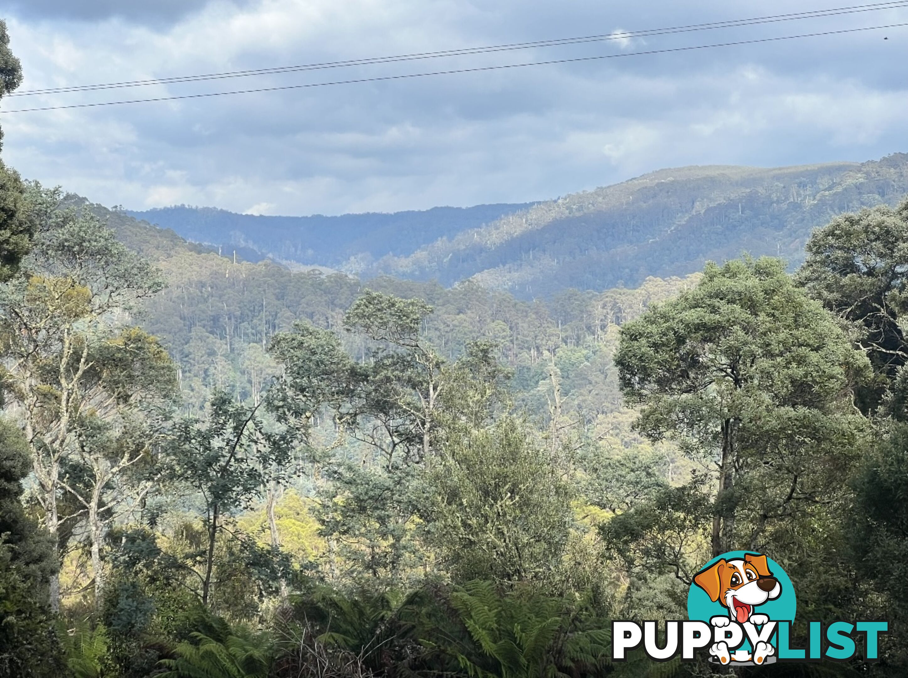 654 West Calder Road CALDER TAS 7325