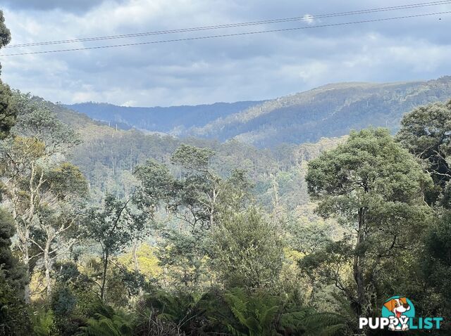 654 West Calder Road CALDER TAS 7325