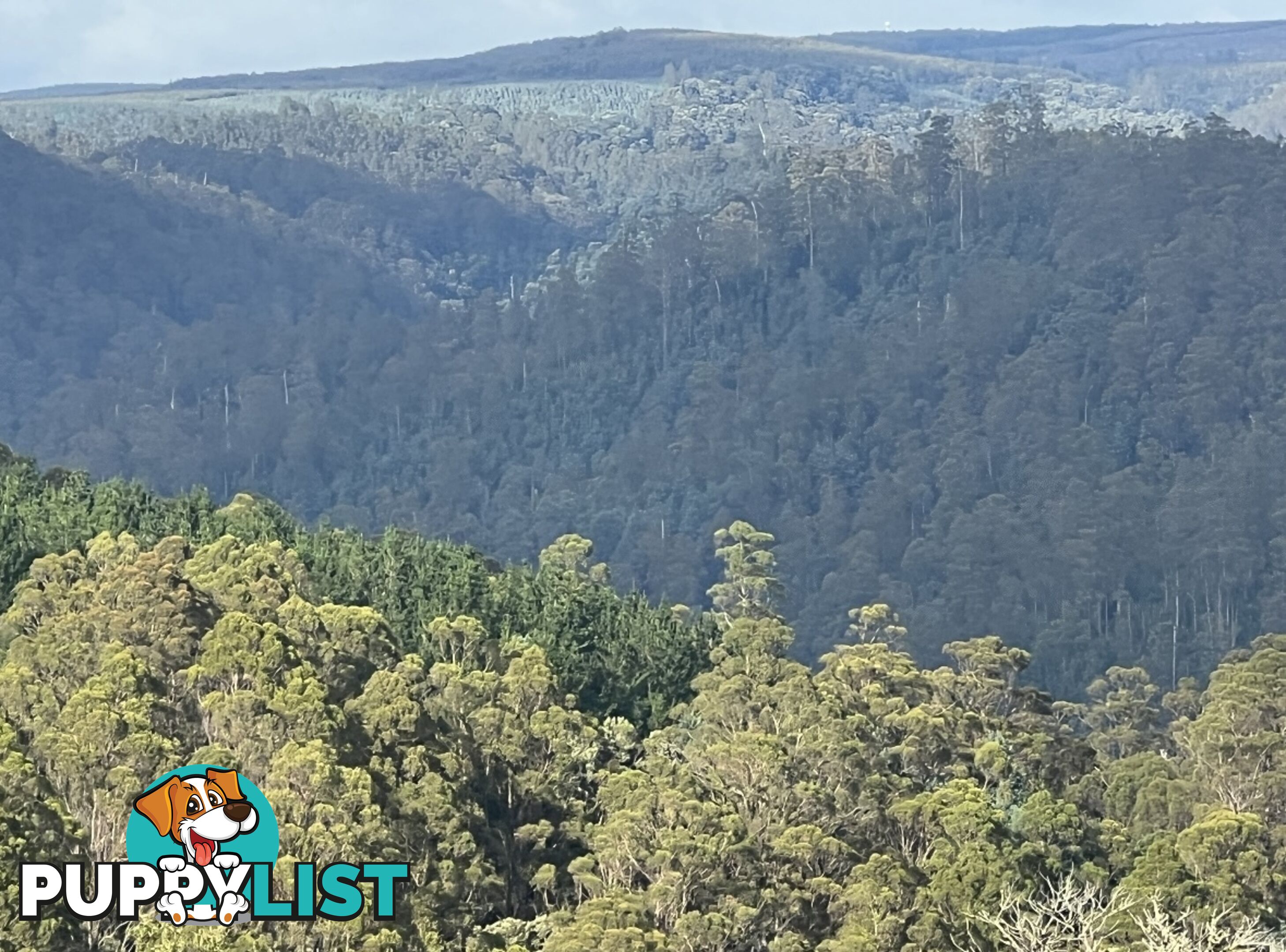 654 West Calder Road CALDER TAS 7325