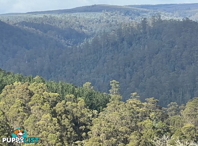 654 West Calder Road CALDER TAS 7325