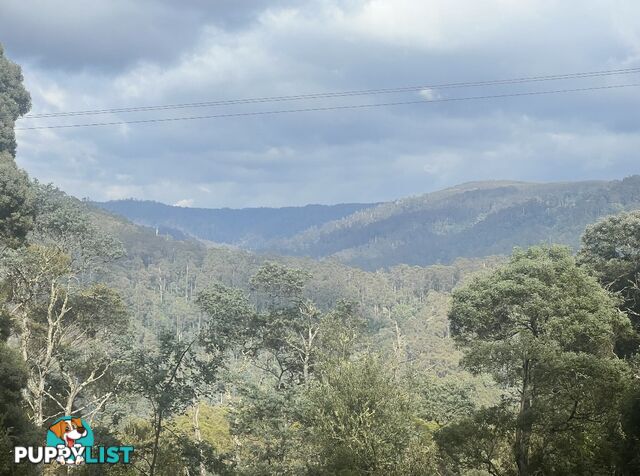 654 West Calder Road CALDER TAS 7325