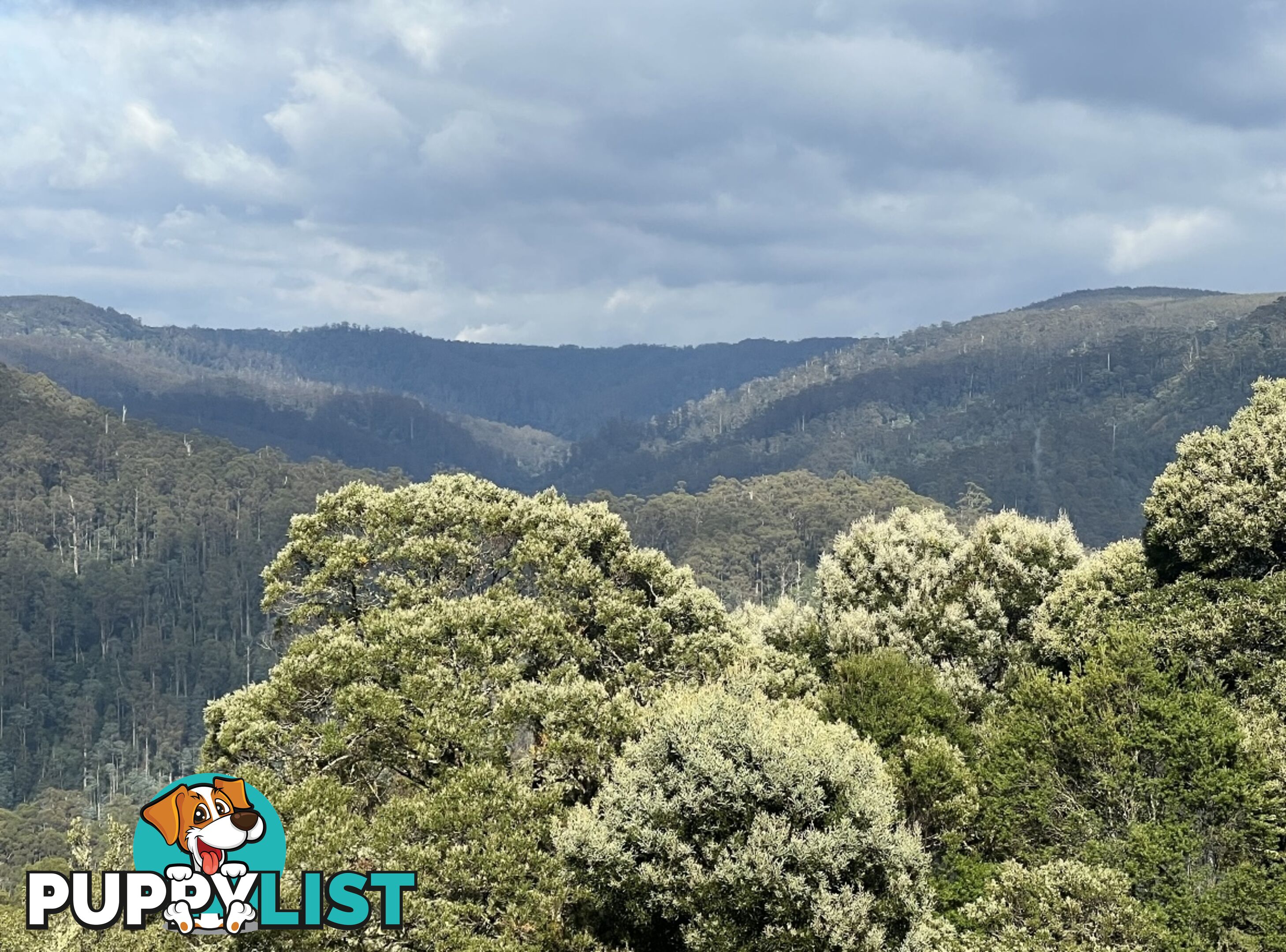 654 West Calder Road CALDER TAS 7325