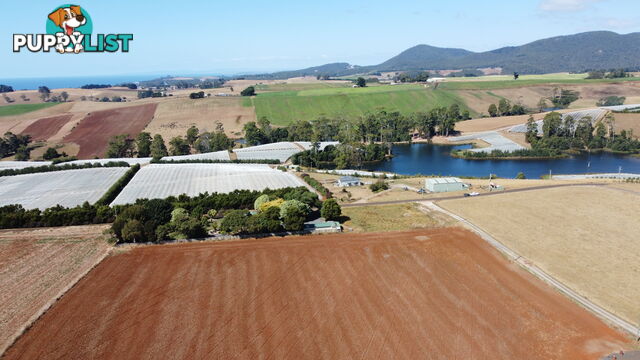 430 Nine Mile Road SULPHUR CREEK TAS 7316