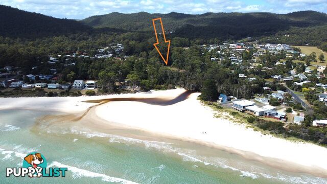 34 Elfrida Avenue SISTERS BEACH TAS 7321