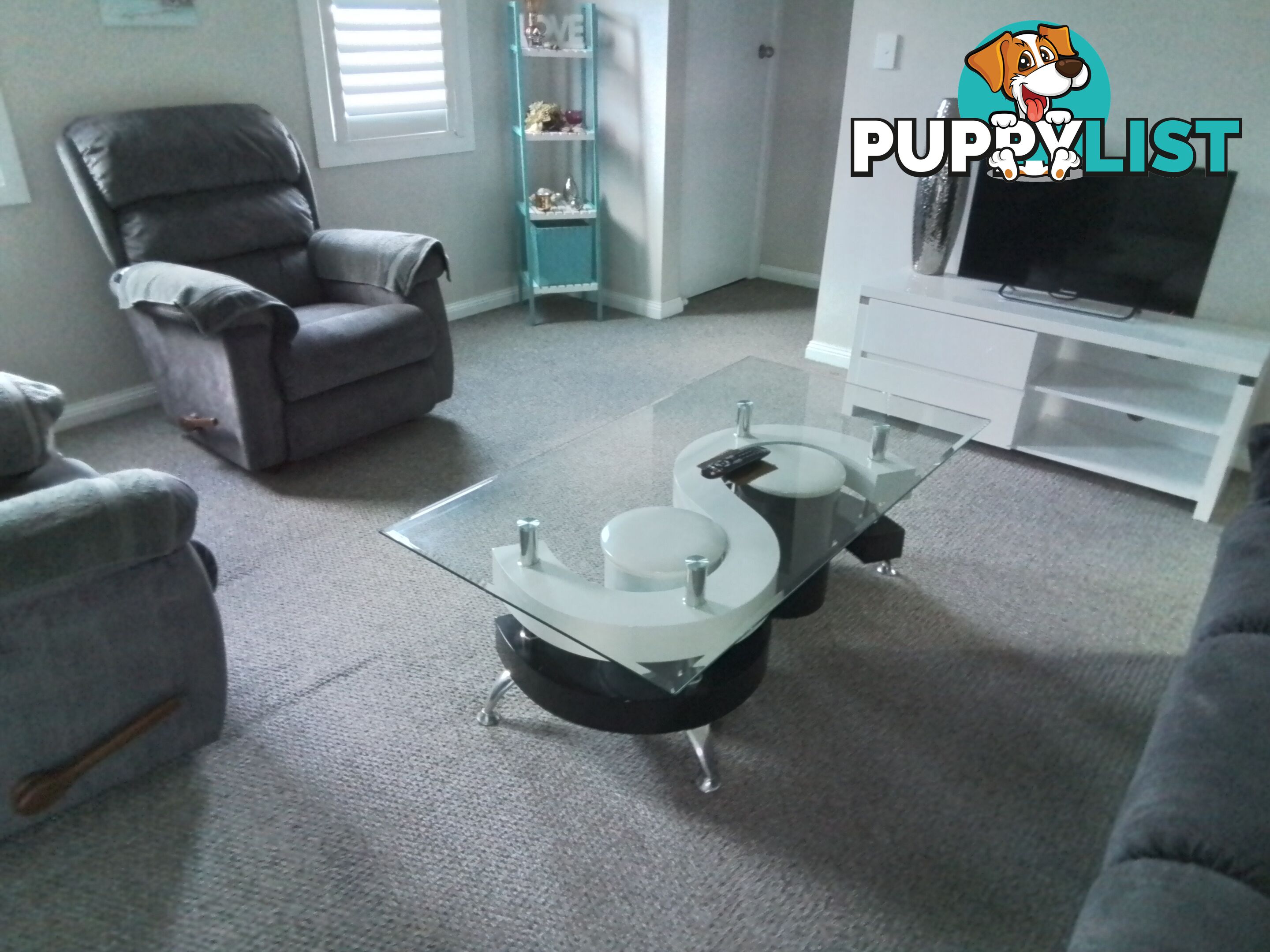 17 Murray Street QUEENSTOWN TAS 7467