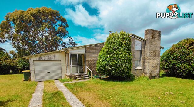 44 Ritchie Street WARATAH TAS 7321