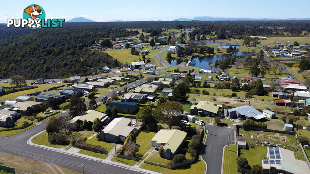 44 Ritchie Street WARATAH TAS 7321