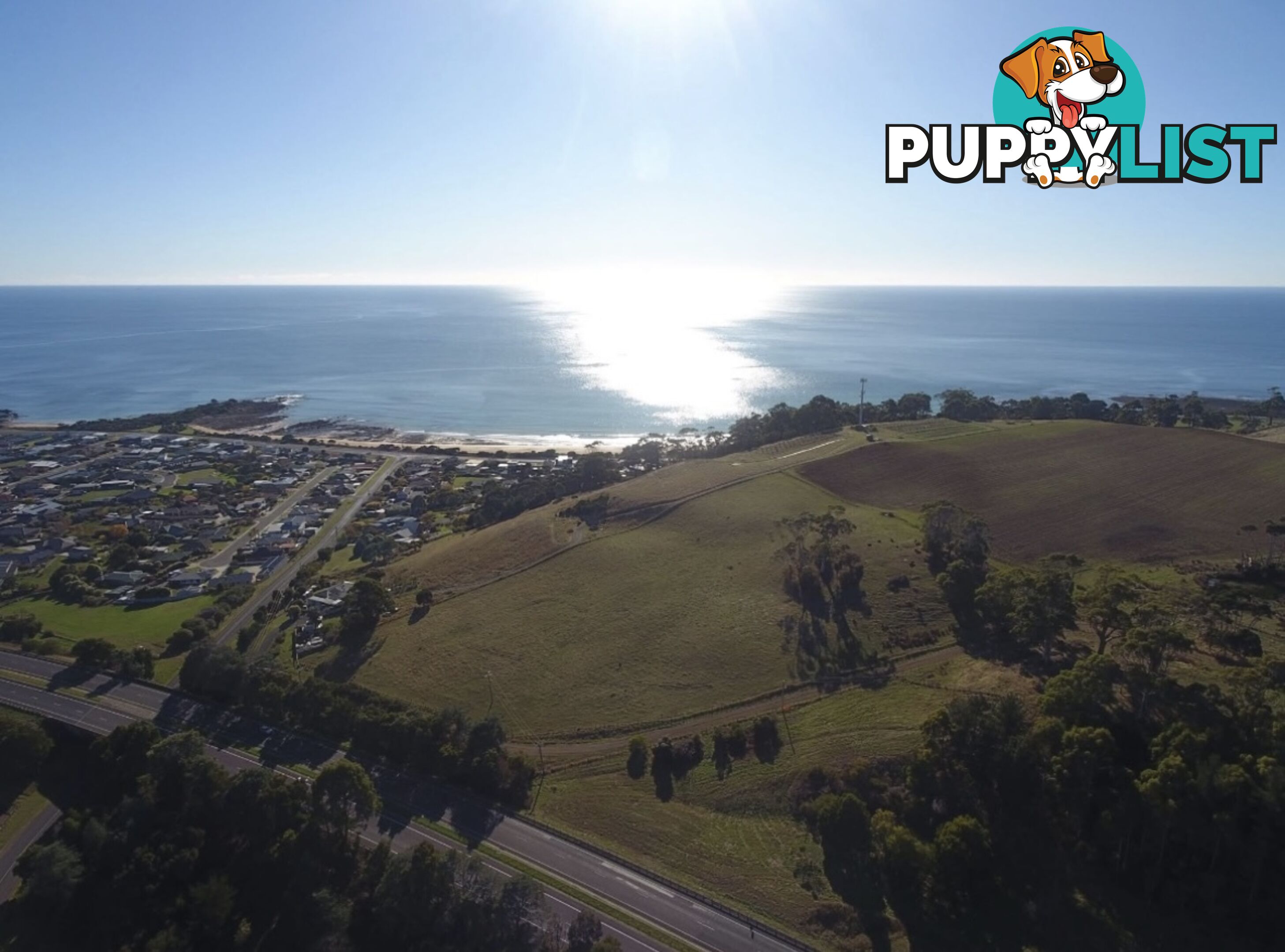98 Creamery Road SULPHUR CREEK TAS 7316