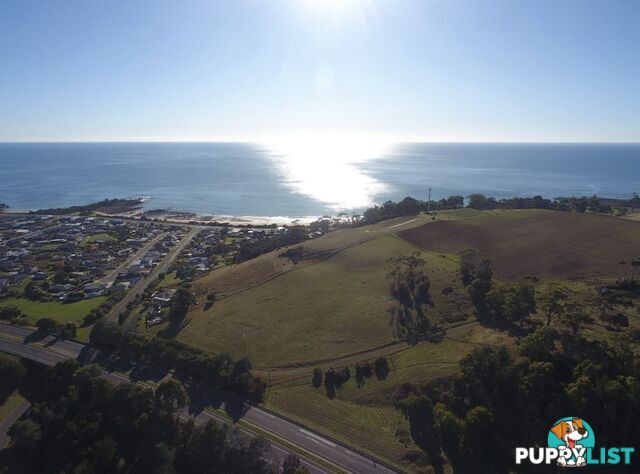98 Creamery Road SULPHUR CREEK TAS 7316