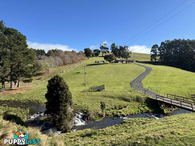 98 Creamery Road SULPHUR CREEK TAS 7316