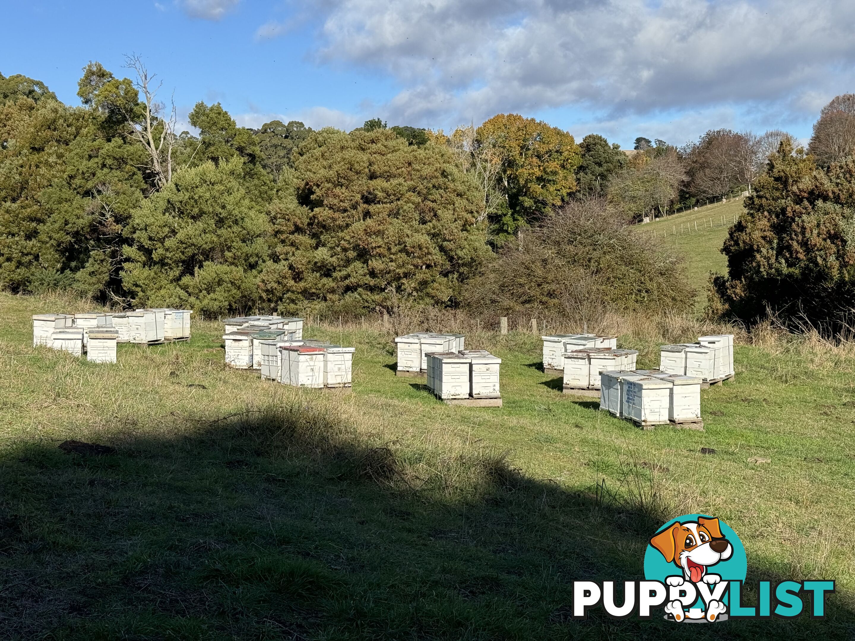 98 Creamery Road SULPHUR CREEK TAS 7316
