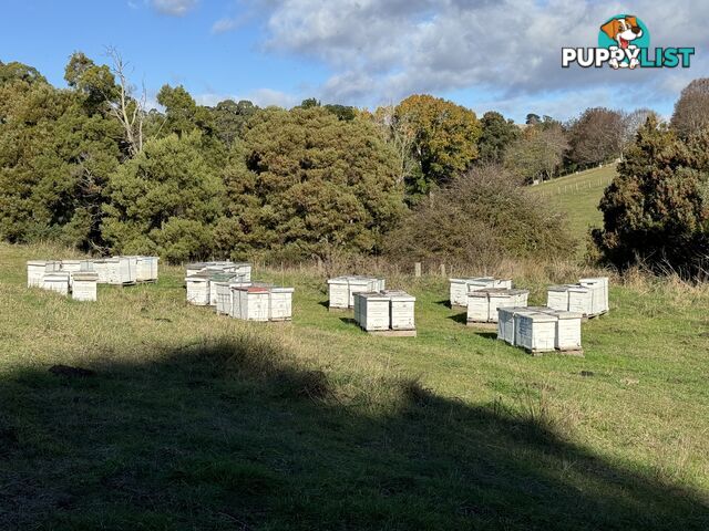98 Creamery Road SULPHUR CREEK TAS 7316