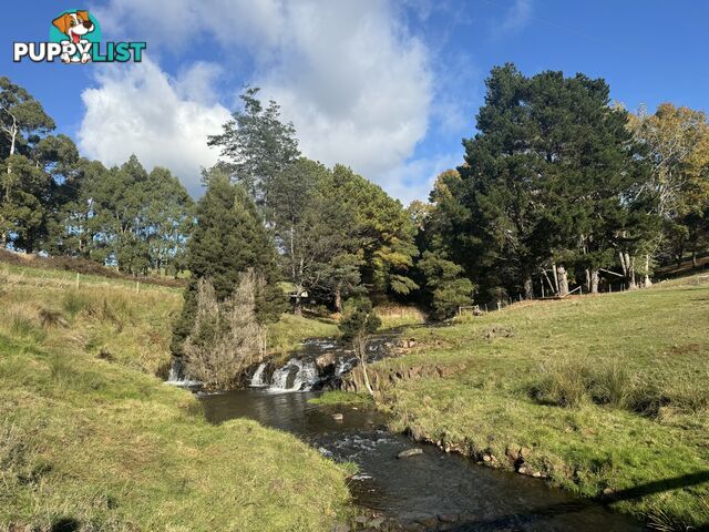 98 Creamery Road SULPHUR CREEK TAS 7316