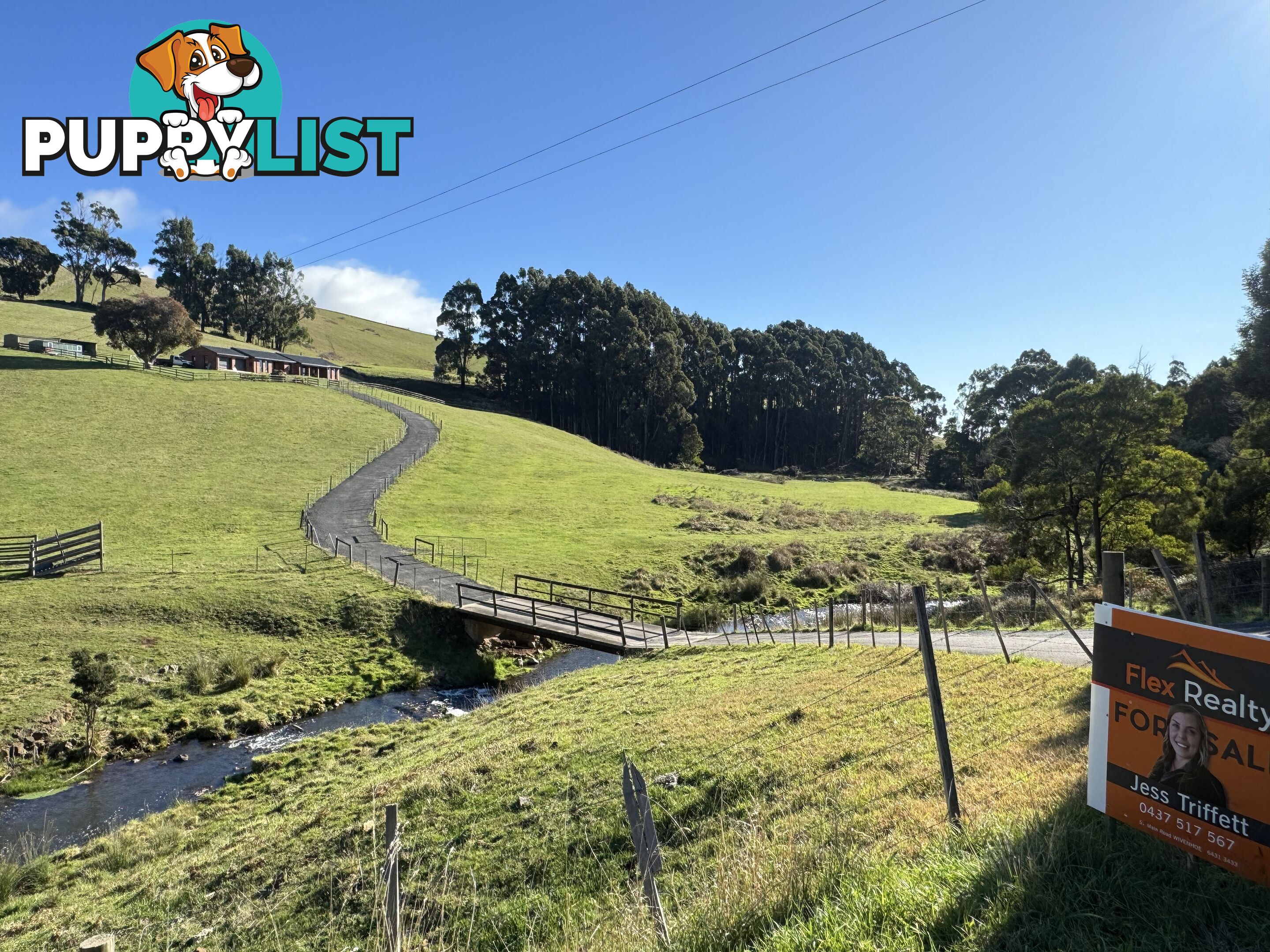 98 Creamery Road SULPHUR CREEK TAS 7316