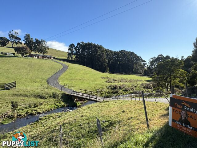 98 Creamery Road SULPHUR CREEK TAS 7316