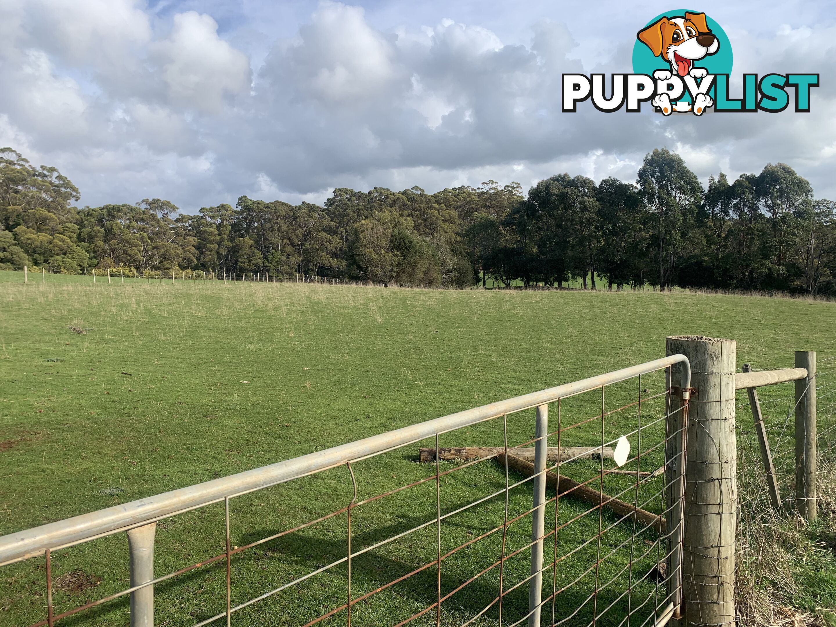 0 Studderds Road MOORLEAH TAS 7325