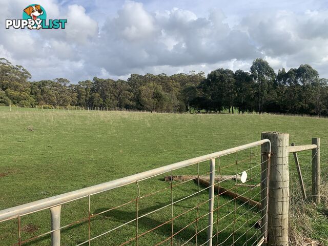 0 Studderds Road MOORLEAH TAS 7325
